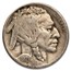 1926 Buffalo Nickel 40-Coin Roll Avg Circ